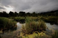 Naturruhezone für Edelkrebse