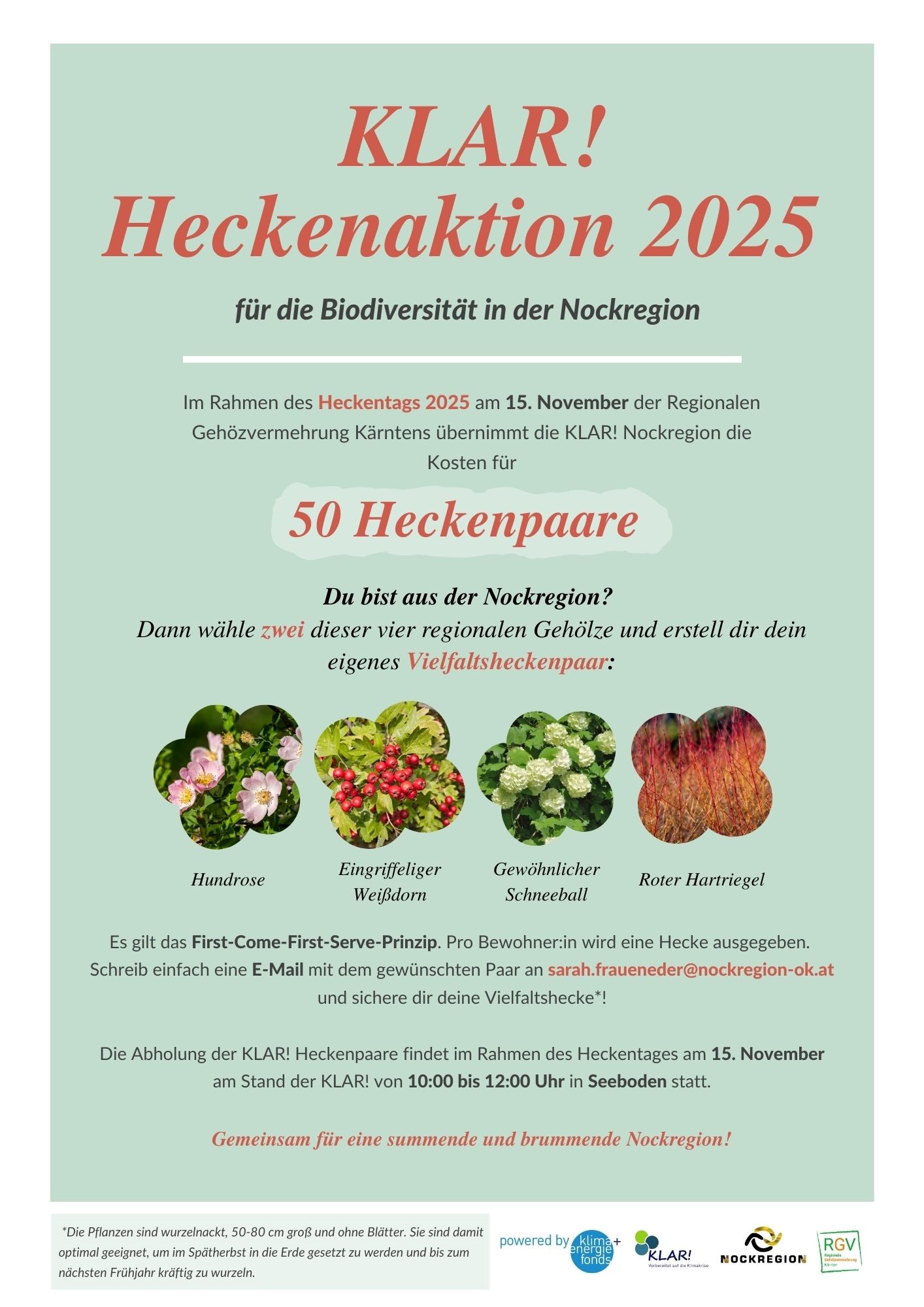 Heckenaktion 2025 Info